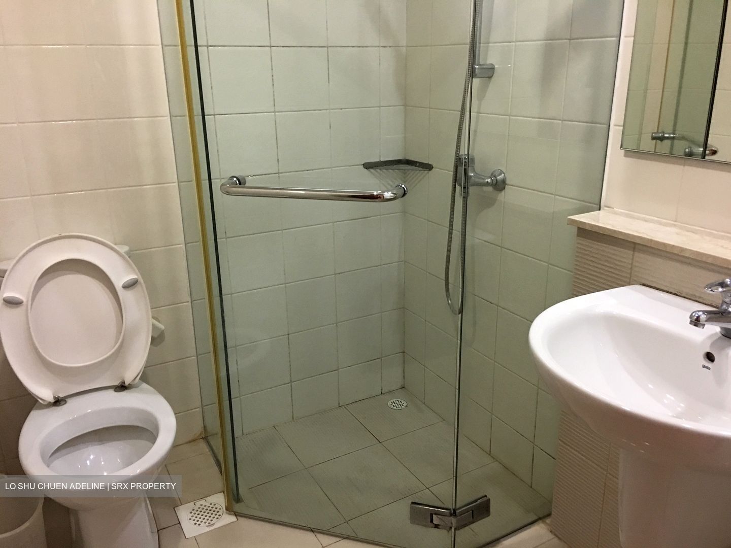 Edelweiss Park Condominium (D17), Condominium #628881631
